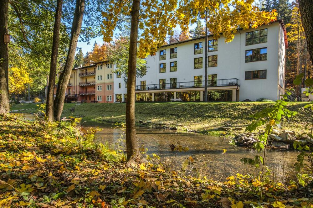 Příroda nedaleko hotelu