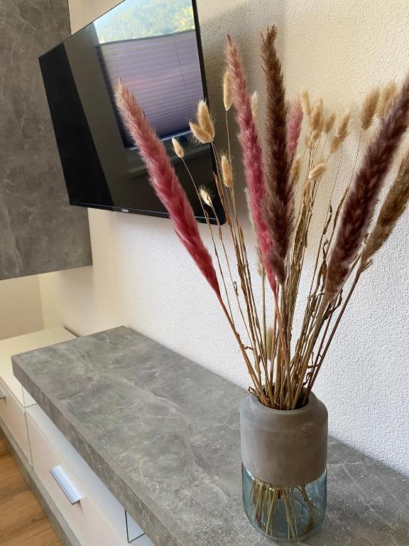 TV a/nebo společenská místnost v ubytování Leonies Appartement