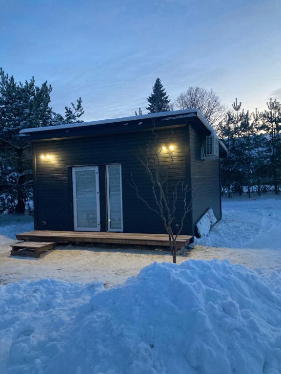 mały domek z drzewem w śniegu w obiekcie MilAdrija w mieście Rakiszki