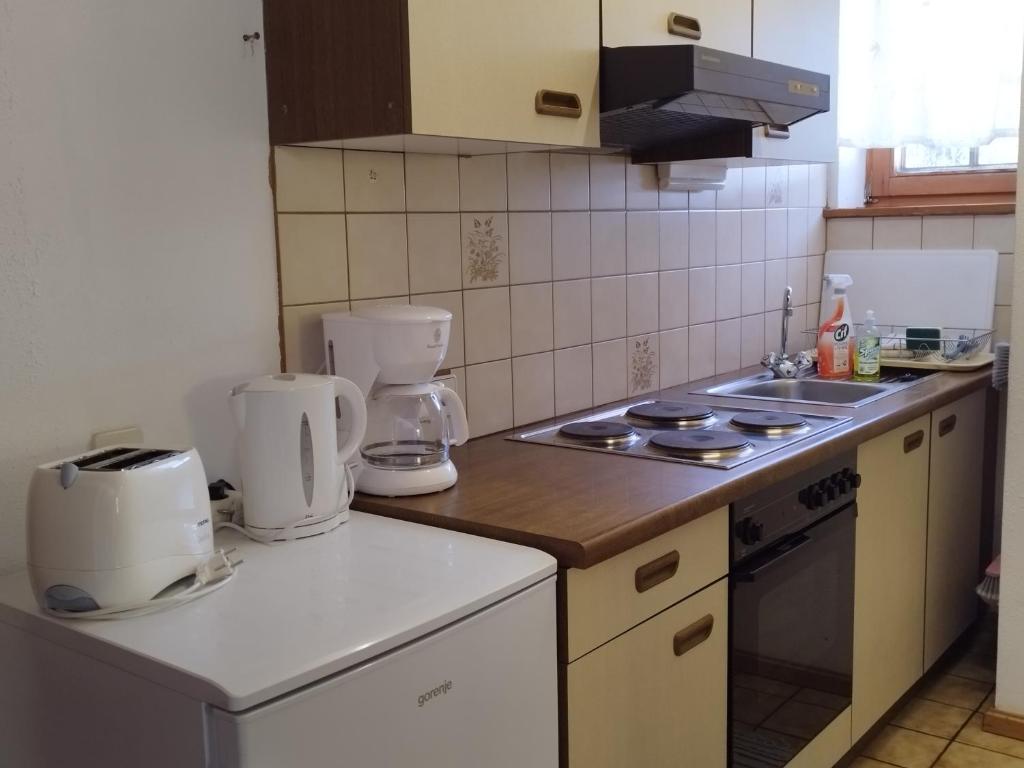 Kuhinja oz. manjša kuhinja v nastanitvi Grundnerhof