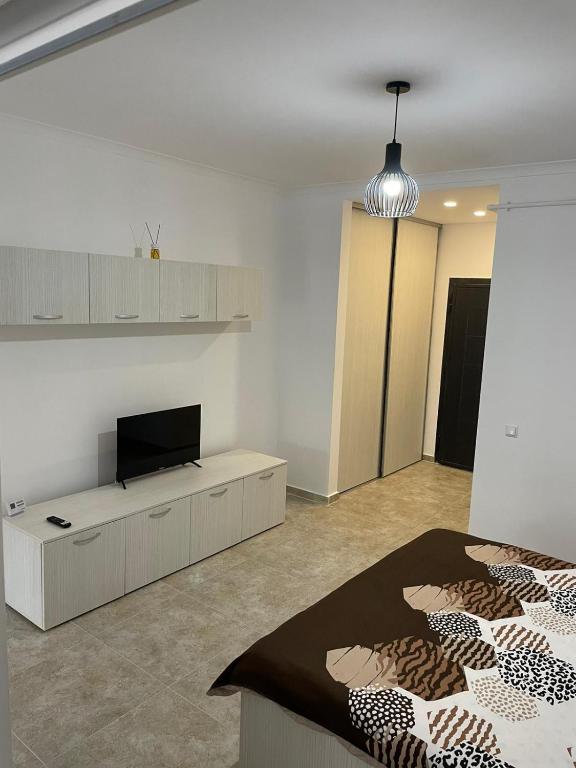 - une chambre avec un lit et une télévision sur un mur blanc dans l'établissement Garsoniera Tineretului, à Roşu