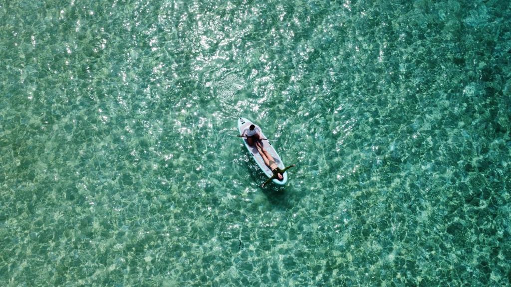 Blue Water Thoddoo Inn - 16