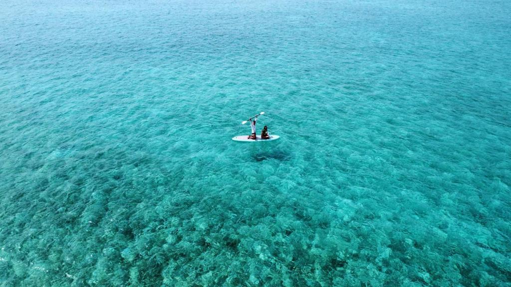 Blue Water Thoddoo Inn - 5