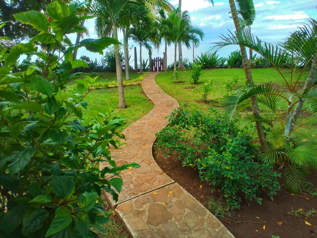 a path through a park with palm trees at Villa Colibri in Nosy Be