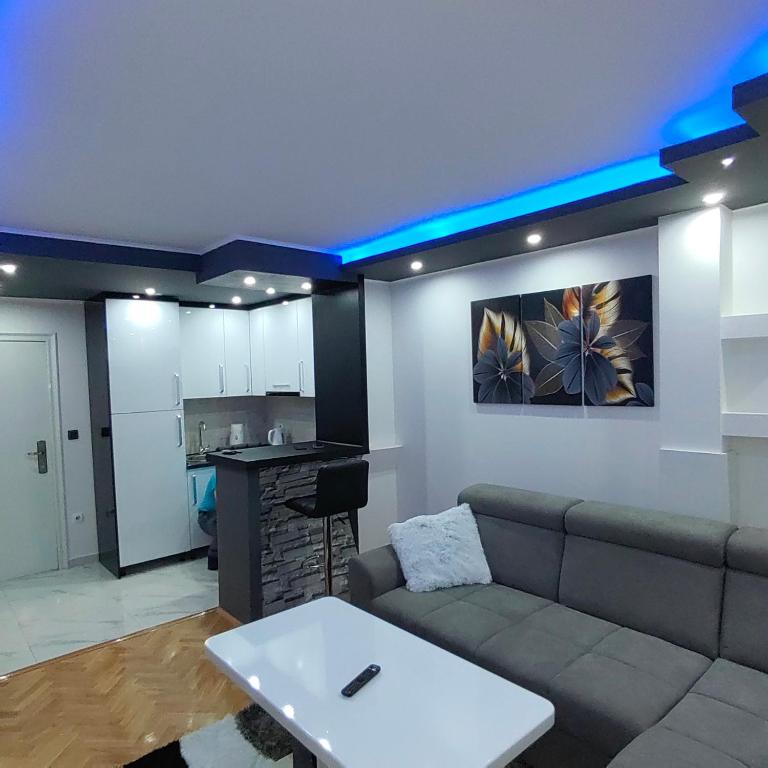 Apartmani AMONA STAN NA DAN - 一居室公寓