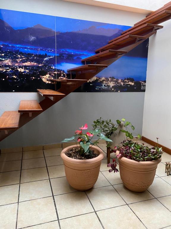Fotografie z fotogalerie ubytování Posada Catalina v destinaci Zacatlán