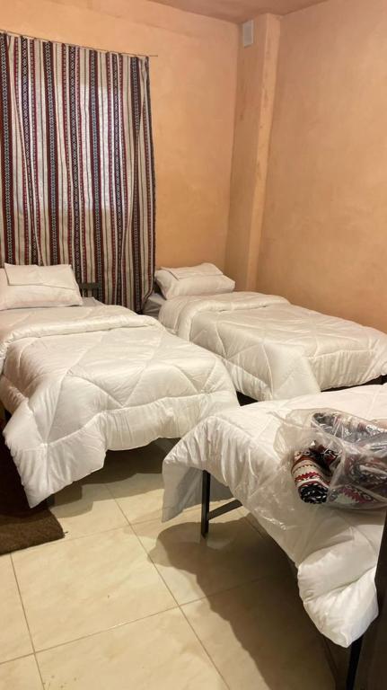Dana Nabil Ecu Camp House - Main Gate Dana nature reserve - Triple Room With Private Bathroom