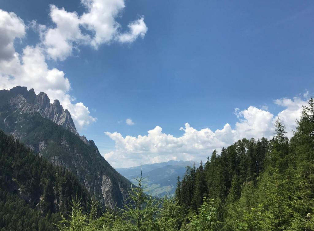 Paesaggio naturale nelle vicinanze della stanza in casa privata