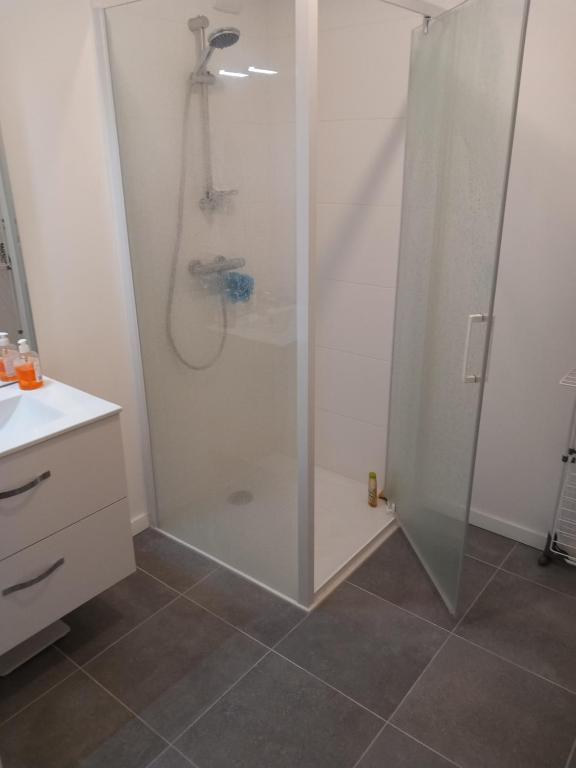 W łazience znajduje się prysznic ze szklanymi drzwiami. w obiekcie Appartement standing Vue panoramique sur Nantes w mieście Nantes