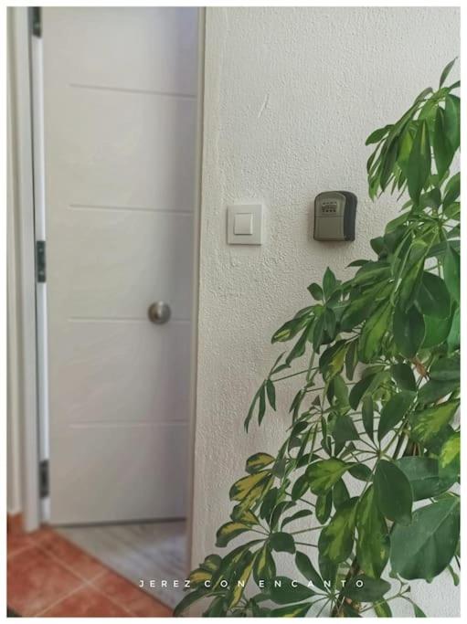 Fotografia z galérie ubytovania Ático en pleno centro de Jerez sin ascensor v destinácii Jerez de la Frontera