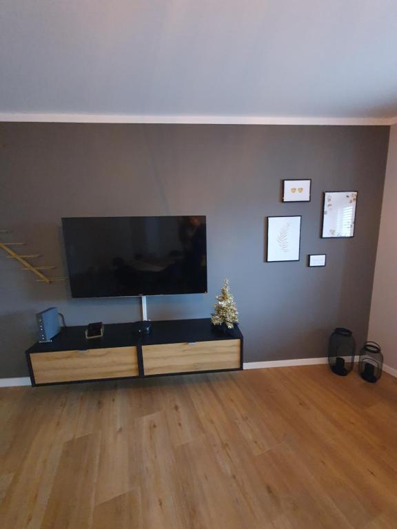 TV a/nebo společenská místnost v ubytování Ferienhaus am Naherholungsgebiet mit SAUNA