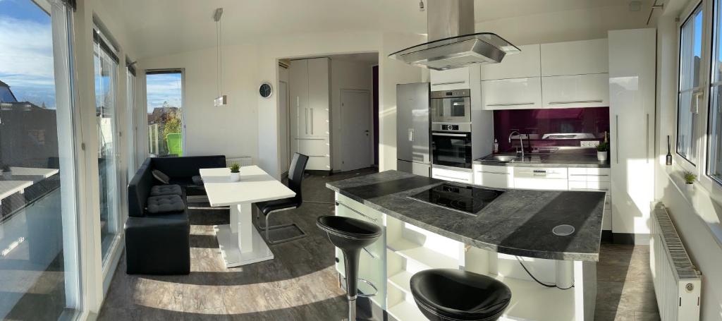 Kuchyň nebo kuchyňský kout v ubytování Cozy Apartment next Outlet Center & Airport with Pool & Garden
