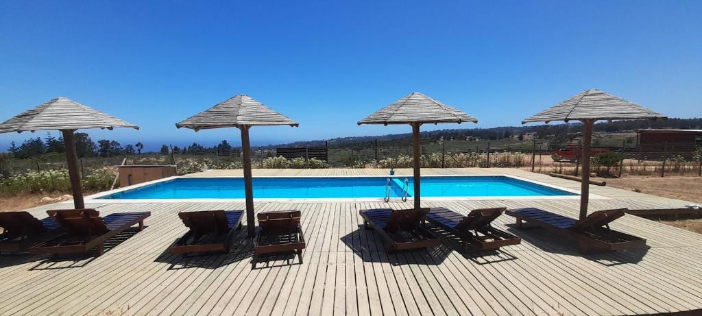 Bassein majutusasutuses 7 Olas lodge või selle lähedal