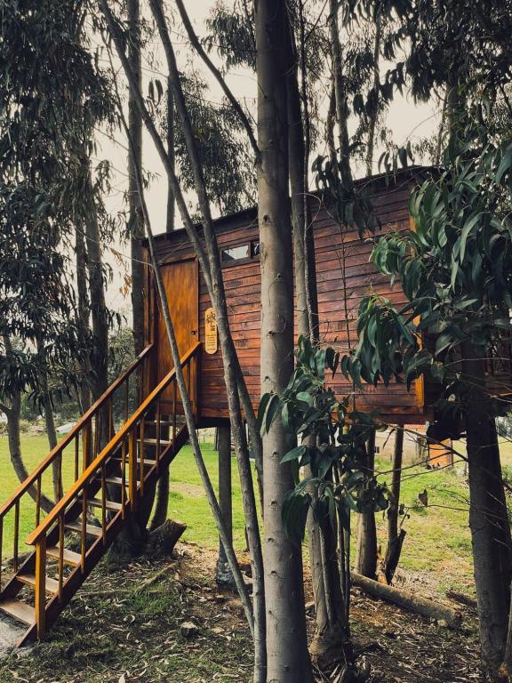 Zahrada ubytování Casa en el Árbol Guatavita
