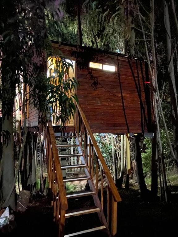 Fotografie z fotogalerie ubytování Casa en el Árbol Guatavita v destinaci Guatavita