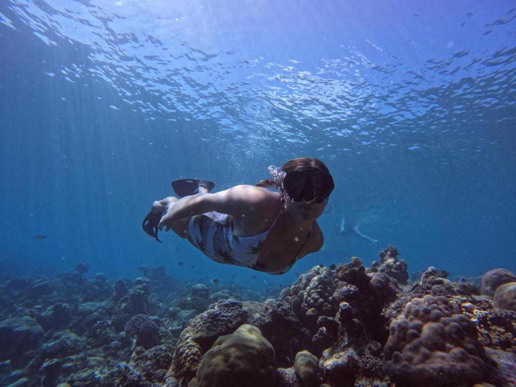 Blue Water Thoddoo Inn - 14