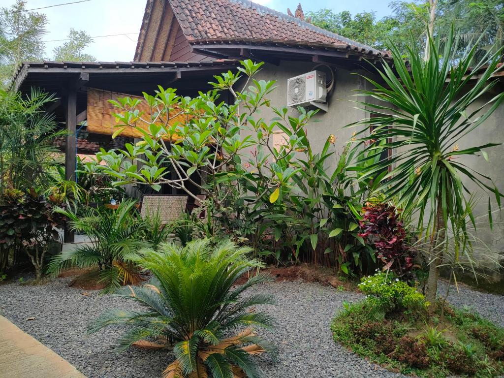 Zahrada ubytování Java Turtle Lodge Meru Betiri