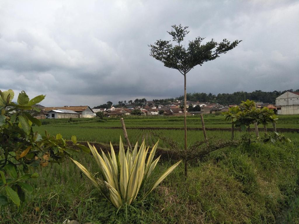 Giri Home & Travel - One-Bedroom House