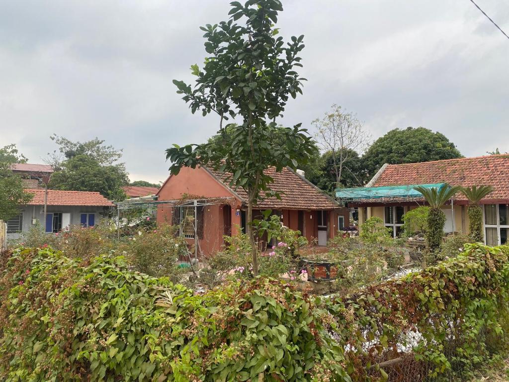 LITTLE TRANG AN HOMESTAY - 17