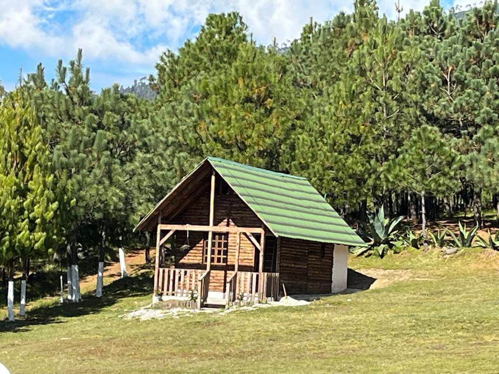 um pequeno chalé de madeira com um telhado verde em Los Ilites posada Campestre familiar 