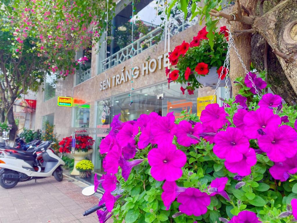 een bos roze bloemen voor een winkel bij Sen Trang Hotel in Lao Cai