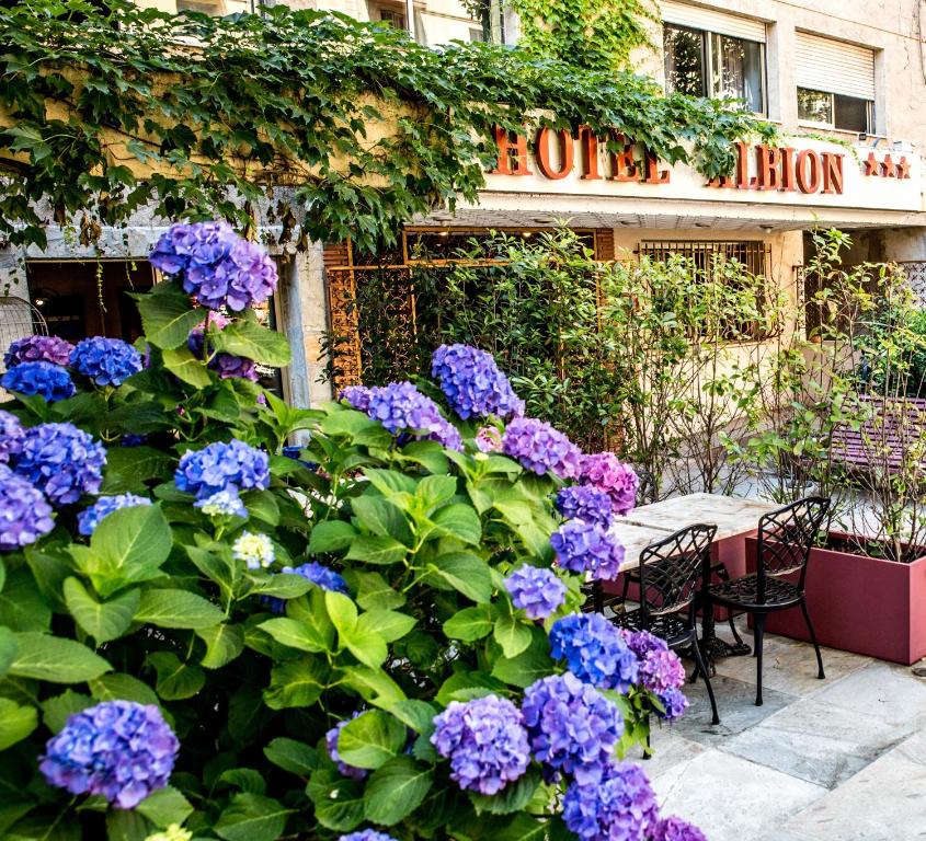 un montón de flores púrpuras delante de una tienda en Hôtel Albion, en Ajaccio