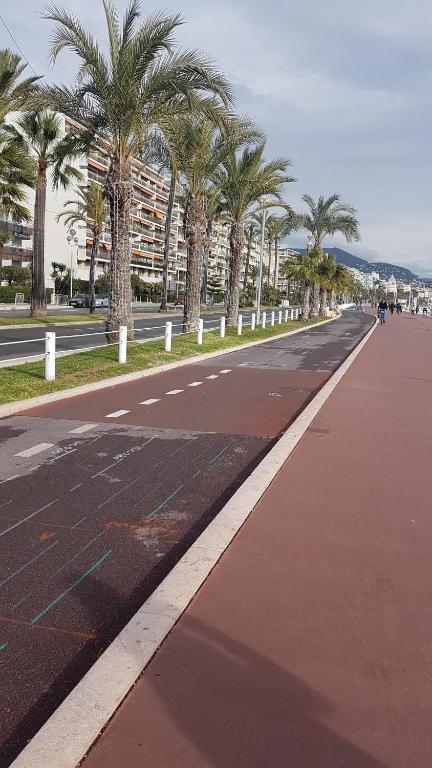 a street with palm trees on the side of a road at studio à 2 mn à pied de la plage in Nice