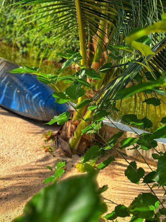 Zahrada ubytování Twocans Resort KohMak - SHA