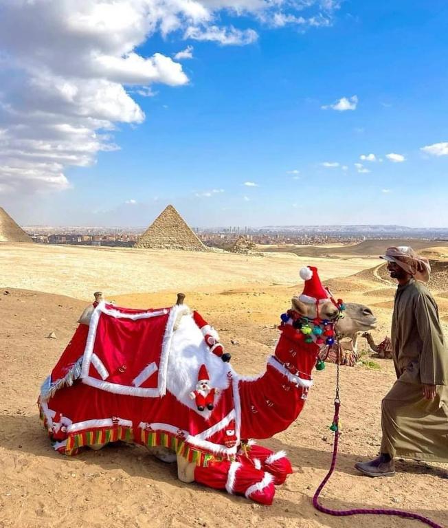 Hosté ubytování Khufu Pyramids Hotel