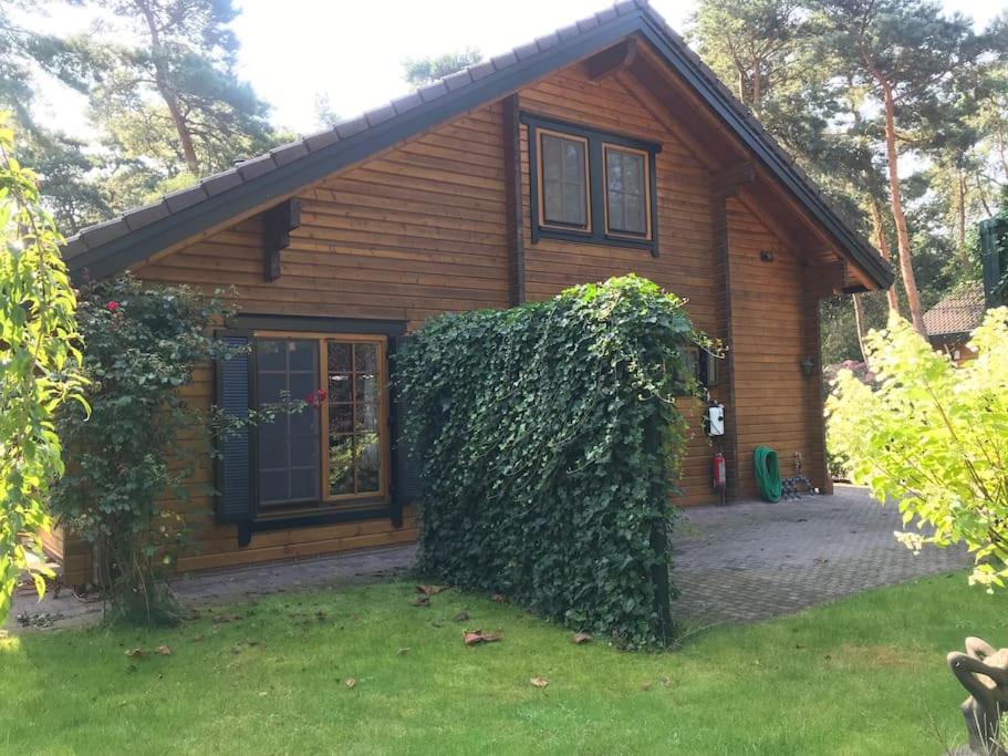 una casa de madera con un gran seto verde delante de ella en Houten chalet/bungalow in het bos, sauna, jacuzzi, en Meijel