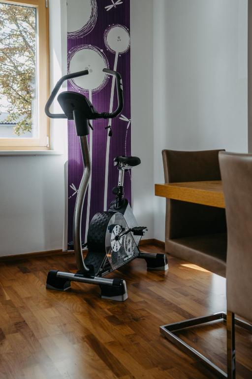 Fitness centrum a/nebo fitness zařízení v ubytování Mareli Neusiedler Stadthaus