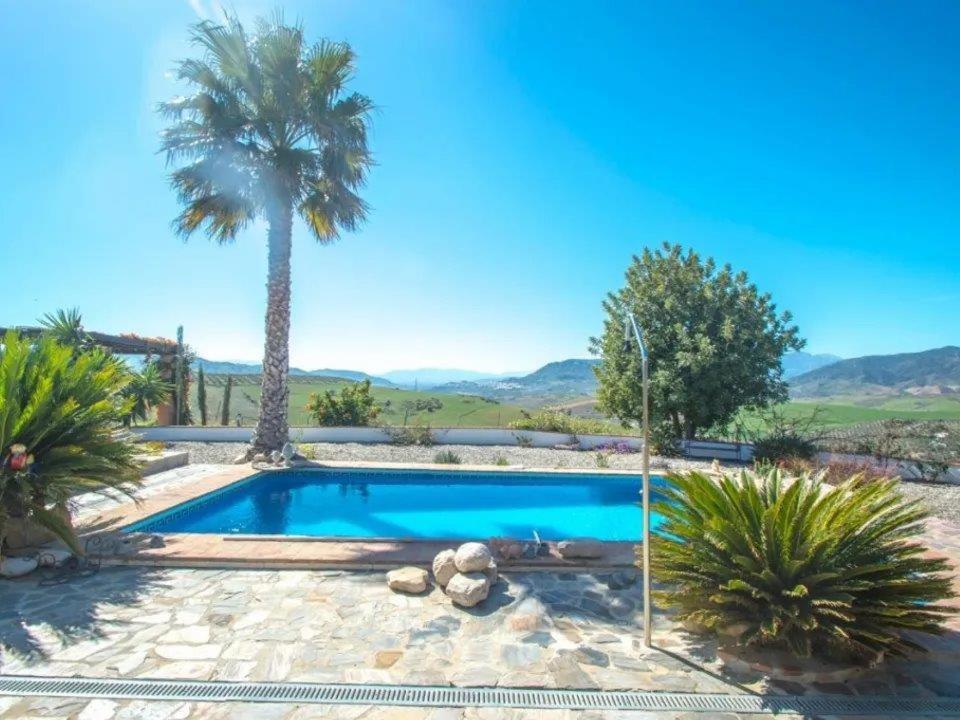 una piscina con una palmera en un patio en B&B Casa Loré D'or en Alora