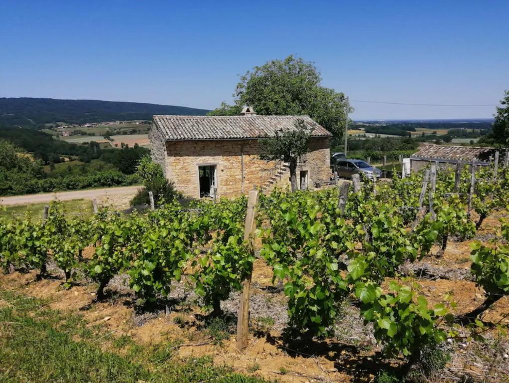 un bâtiment en pierre dans un vignoble avec un bouquet de raisins dans l'établissement Une Maison de campagne en Bourgogne du Sud, à Tournus