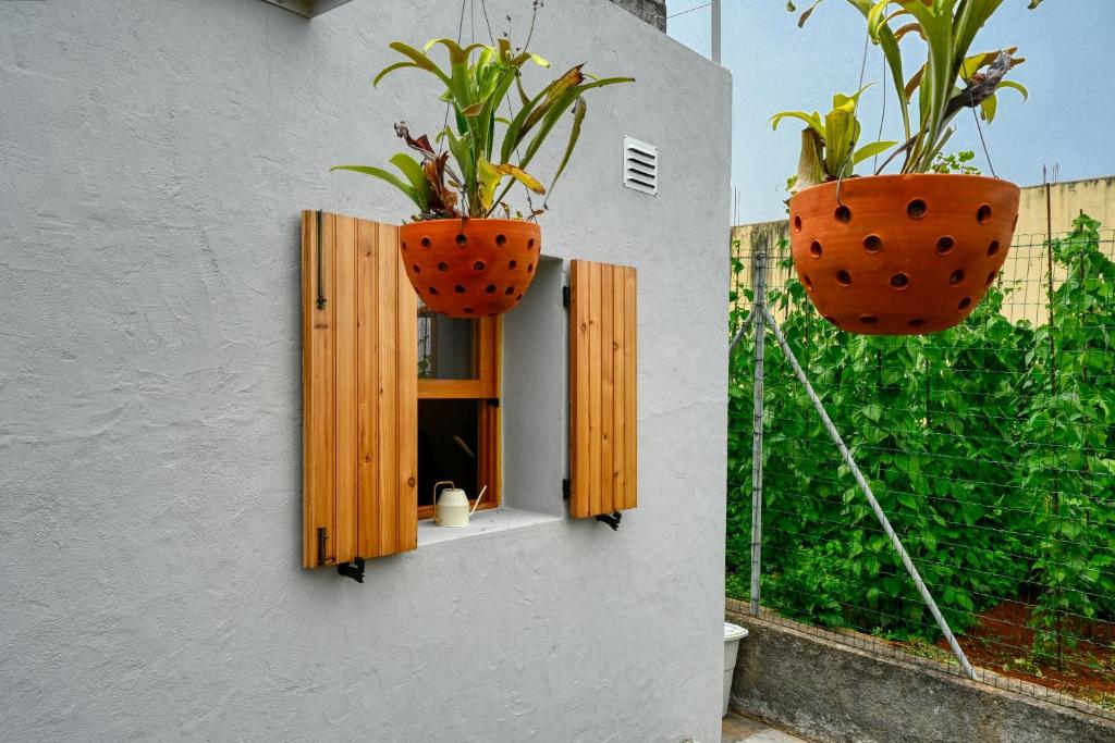 Zahrada ubytování O Lagar do Avô, a Home in Madeira