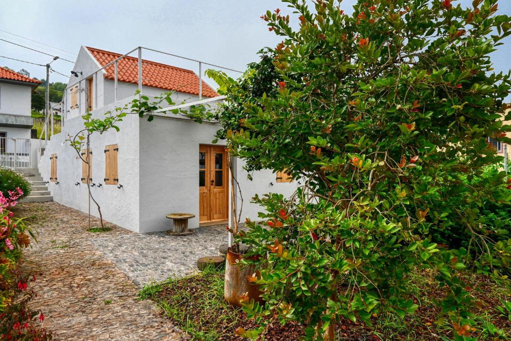 Zahrada ubytování O Lagar do Avô, a Home in Madeira
