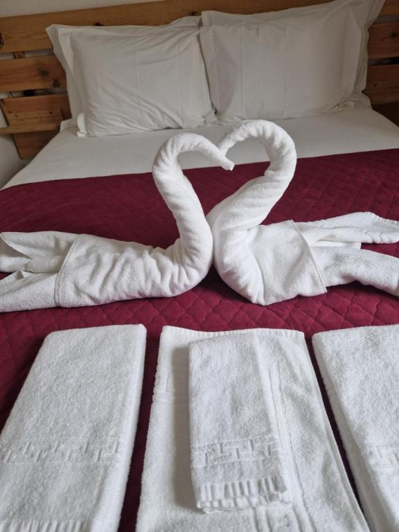 Casa do Albuquerque - 18