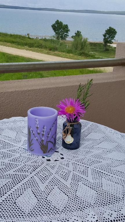 Fotografie z fotogalerie ubytování Villa Barić v destinaci Nin