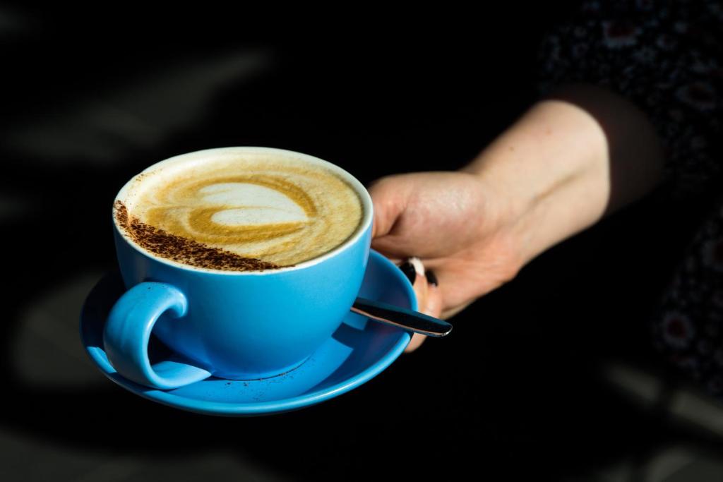 The Lake House - Resim 12