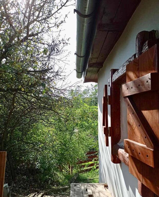 a view from the outside of a house with trees at Nature Lodge Csesztve in Csesztve