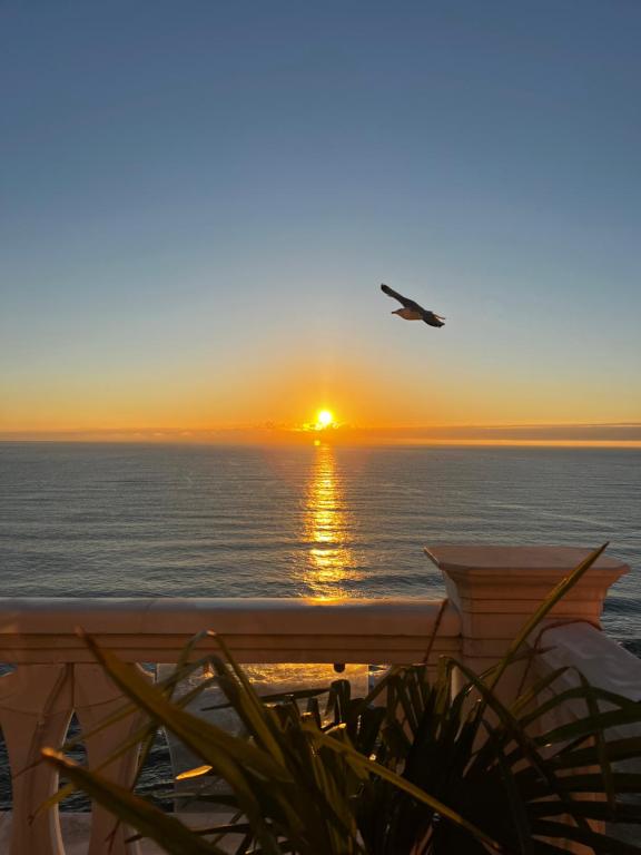 a bird flying over the ocean at sunset at Sky & Sea Apartment in Golden Sands