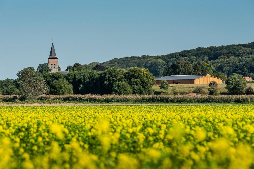 un champ de fleurs jaunes avec une église en arrière-plan dans l'établissement B@B Martinushoeve, à Audenarde