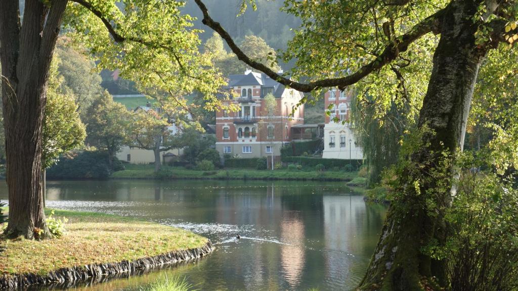 uma vista para um rio com uma casa ao fundo em Apartment Am Gondelteich em Bad Elster