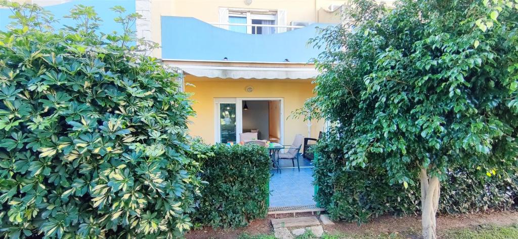 Zahrada ubytování Apartamento Pont Sec by DENIA COSTA