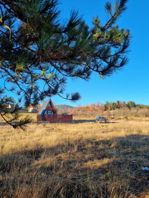 an old barn in a field with a tree at A Pine vikendica u srcu Zapadne Srbije in Nova Varoš