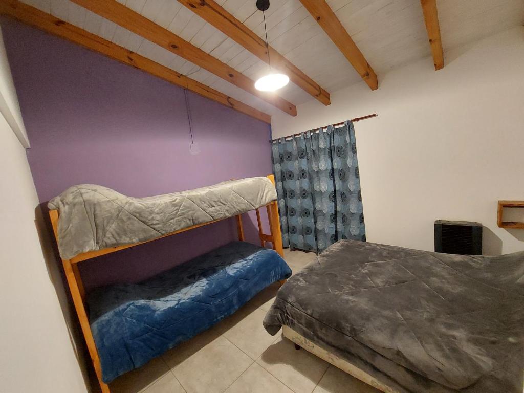 a bedroom with a bunk bed and a purple wall at Hospedaje Valle Alto in San Martín de los Andes