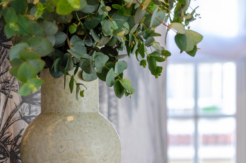 BCascais Boutique House by APT IIN Cascais Center - 11