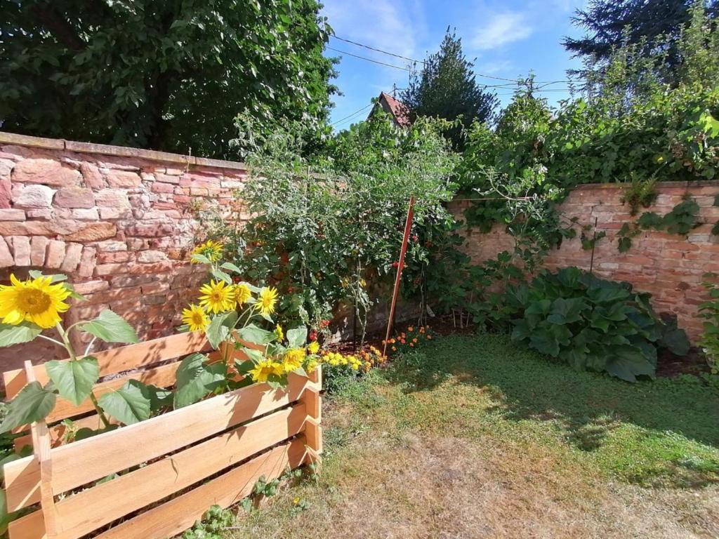 Zahrada ubytování Maison Kobold XVIè siècle
