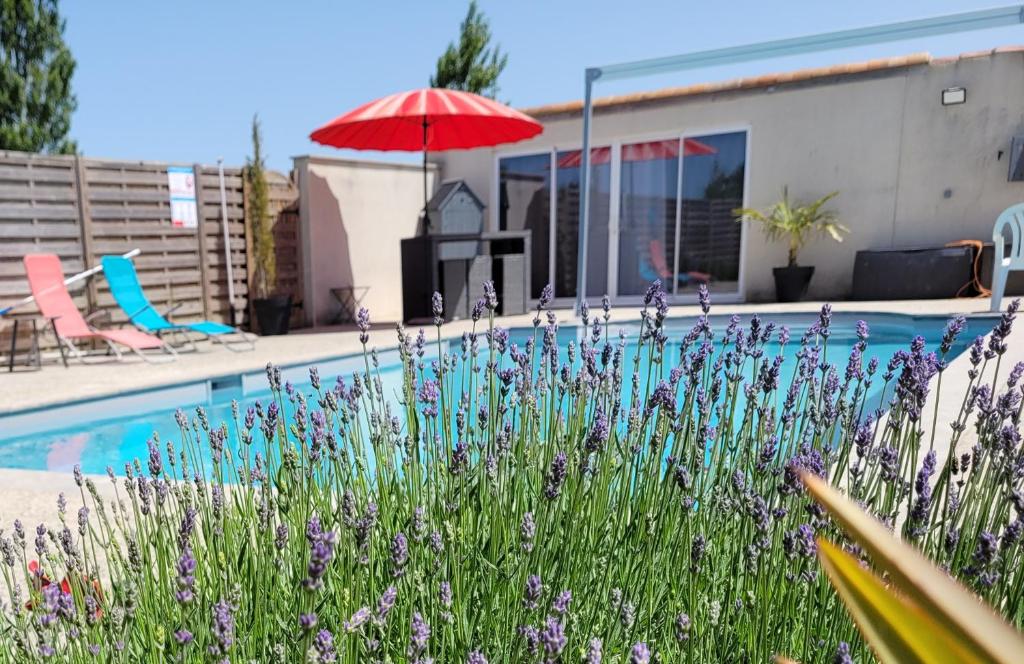 uma piscina com um guarda-chuva vermelho e algumas flores roxas em Gite le Petit Doué em Noirlieu