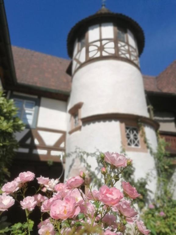 Fotografie z fotogalerie ubytování Maison Kobold XVIè siècle v destinaci Wissembourg