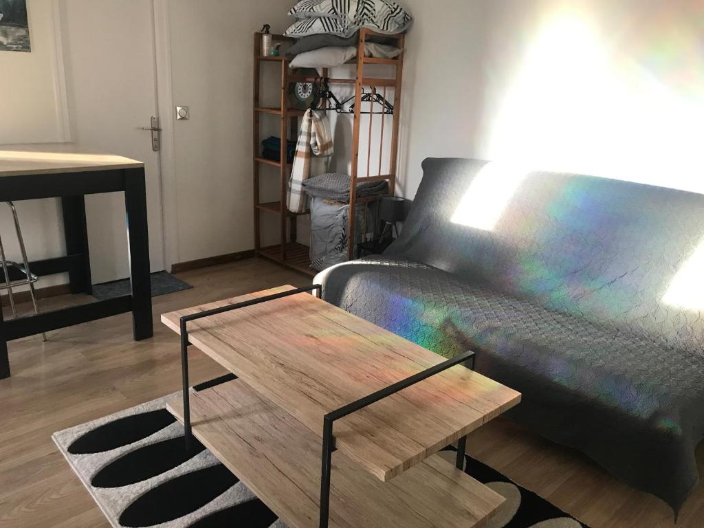 a living room with a couch and a coffee table at Studio 30m2 sympa à la limite de TOURS in Saint-Pierre-des-Corps